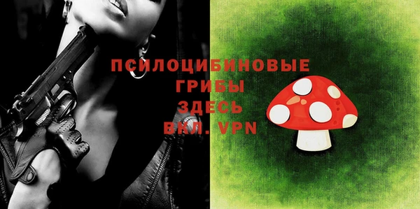 PSILOCYBIN Алексеевка