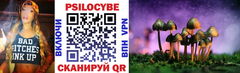 гидра вход  Красноярск  Псилоцибиновые грибы GOLDEN TEACHER 